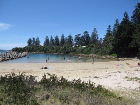 Bruce Steer Pool - Accommodation in Bendigo 1