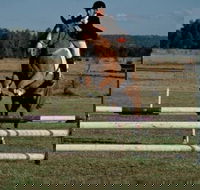 Camden Bicentennial Equestrian Park - Accommodation in Bendigo