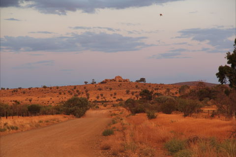 Castle Rock Walk And Lookout - Accommodation in Bendigo 0
