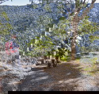 Caves circuit Lamington National Park - Accommodation in Bendigo