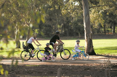 Coast To Vines Rail Trail - Accommodation in Bendigo 1