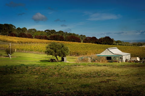 Coast To Vines Rail Trail - Accommodation in Bendigo 2