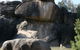 Cranky Rock Nature Reserve - thumb 0