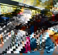 Crystal Kingdom - Accommodation in Bendigo