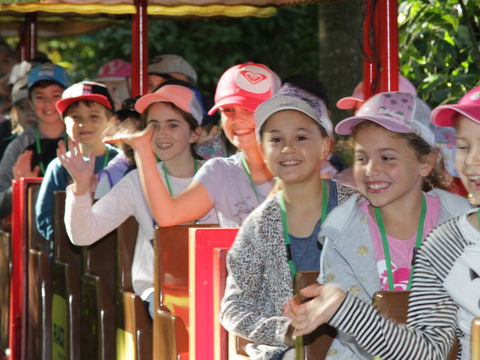 Currumbin Wildlife Sanctuary - Accommodation in Bendigo 1