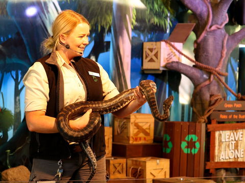 Currumbin Wildlife Sanctuary - Accommodation in Bendigo 2