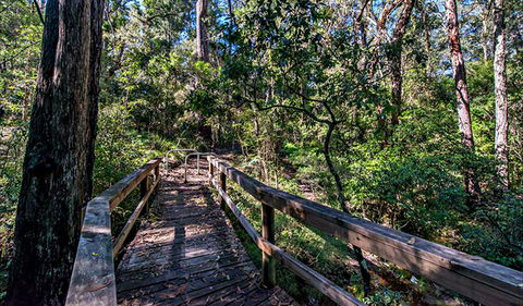 Dawson River Walking Track - Accommodation in Bendigo 0