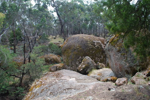 Dergholm State Park - Accommodation in Bendigo 0