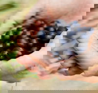 Eat Pick Grow Trail - Wanneroo and Chittering - Accommodation in Bendigo