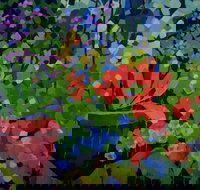 Ferry Artists Gallery