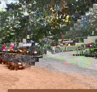 Fred's Pass Rural Market - Accommodation in Bendigo