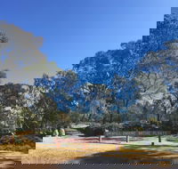 Grenfell Endemic Garden - Accommodation in Bendigo