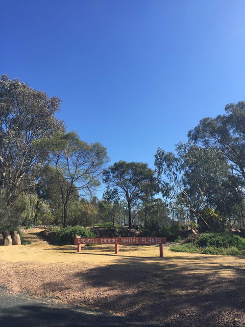 Grenfell Endemic Garden - Accommodation in Bendigo 0