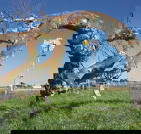 Greenough Leaning Trees - Accommodation in Bendigo