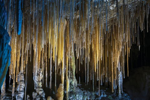 Hastings Caves And Thermal Springs - Accommodation in Bendigo 0