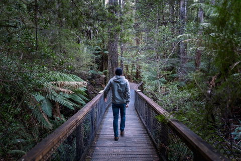 Hastings Caves And Thermal Springs - Accommodation in Bendigo 1