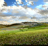 Hodgson Vale - Accommodation in Bendigo