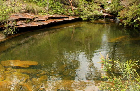 Hominy Creek Walking Track - Accommodation in Bendigo 0