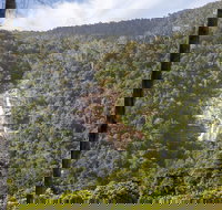 Kearneys Falls - Accommodation in Bendigo