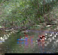 Kerewong State Forest - Accommodation in Bendigo