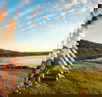 Killalea Reserve - Accommodation in Bendigo