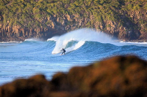 Killalea Reserve - Accommodation in Bendigo 1