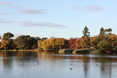Lake Weeroona - Accommodation in Bendigo 0