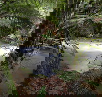 Marriotts Falls and Junee Caves - Accommodation in Bendigo