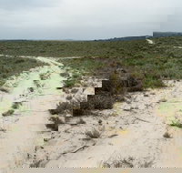 Ngarkat Conservation Park - Accommodation in Bendigo