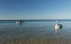 North Beach - thumb 1