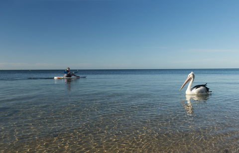 North Beach - Accommodation in Bendigo 1