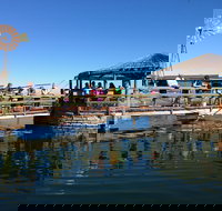 Ocean Park Aquarium - Accommodation in Bendigo