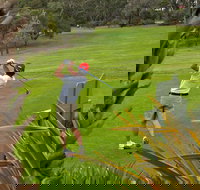 Pambula Merimbula Golf Club - Accommodation in Bendigo