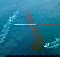 Port Noarlunga Reef Sanctuary Zone - Encounter Marine Park - Accommodation in Bendigo