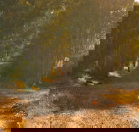 Raysource Road - Accommodation in Bendigo