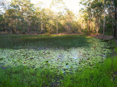 Raysource Road - Accommodation in Bendigo 2
