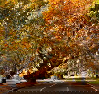 Richmond - Accommodation in Bendigo