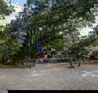 Samford Valley Rail Trail - Accommodation in Bendigo