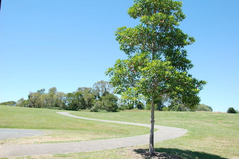 Samford Valley Rail Trail - Accommodation in Bendigo 2
