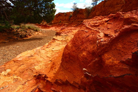 Skytrek - Accommodation in Bendigo 1