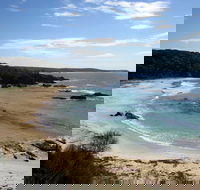 Snorkelling Mystery Bay - Accommodation in Bendigo