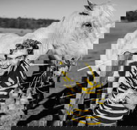 Spring Markets - Accommodation in Bendigo