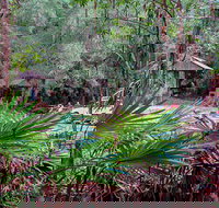 Sugar Creek Picnic Area - Accommodation in Bendigo