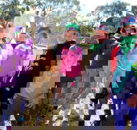 The Saddle Camp - Accommodation in Bendigo