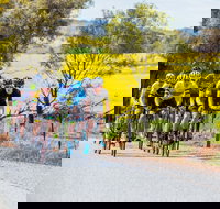 The Heron's Highway - Avon River Cycle Trail - Accommodation in Bendigo