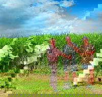 The Shed Gallery - Accommodation in Bendigo