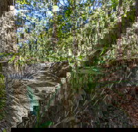 Thylogale Track - Accommodation in Bendigo