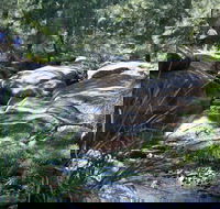 Towarri National Park - Accommodation in Bendigo