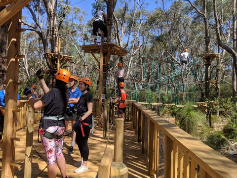 Trees Adventure - Yanchep Park - Accommodation in Bendigo 0