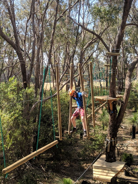 Trees Adventure - Yanchep Park - Accommodation in Bendigo 1